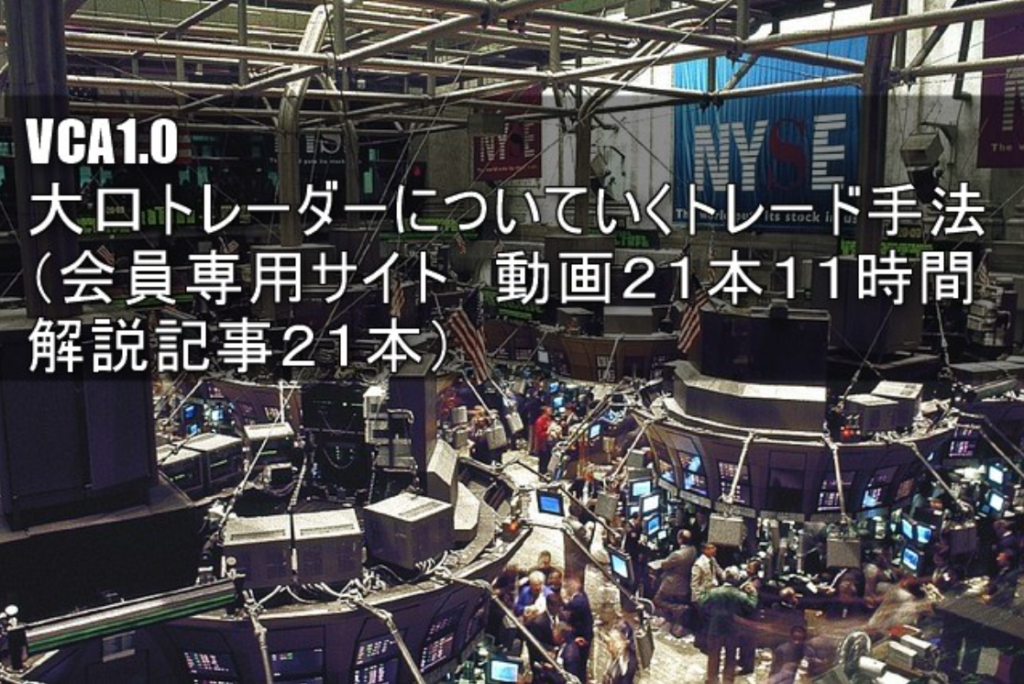 VCA1.0の詳細